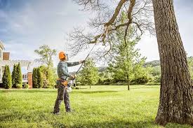 Best Commercial Tree Services  in Gibbstown, NJ