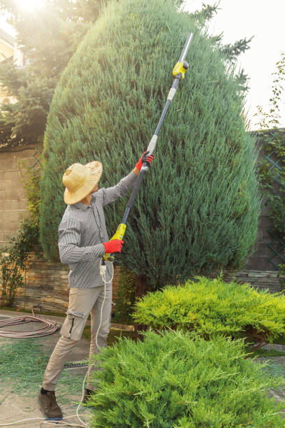 Best Weed Control  in Gibbstown, NJ